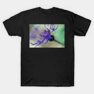 Cornflower Tendrils T-Shirt